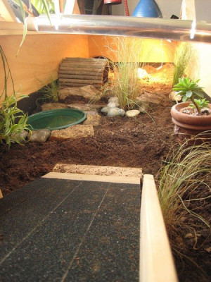 base of ramp with wood to stop slipping.jpg