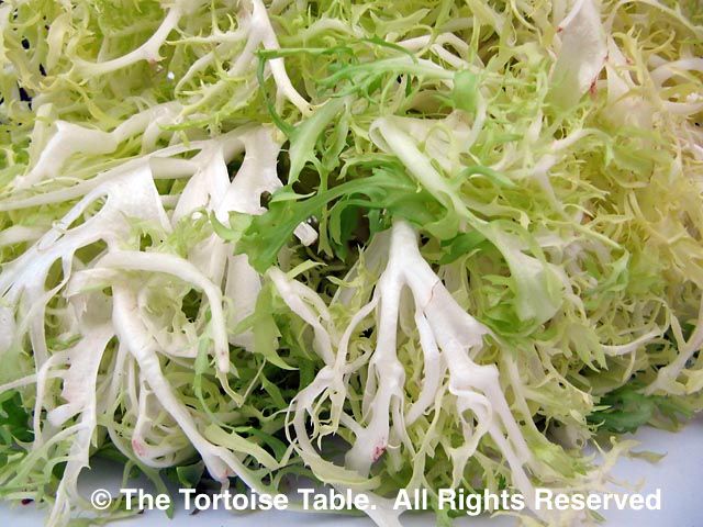 Browse And Search The Tortoise Table Plant Database