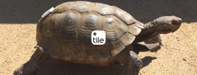 turtle-pet-locator-tile-app.jpg